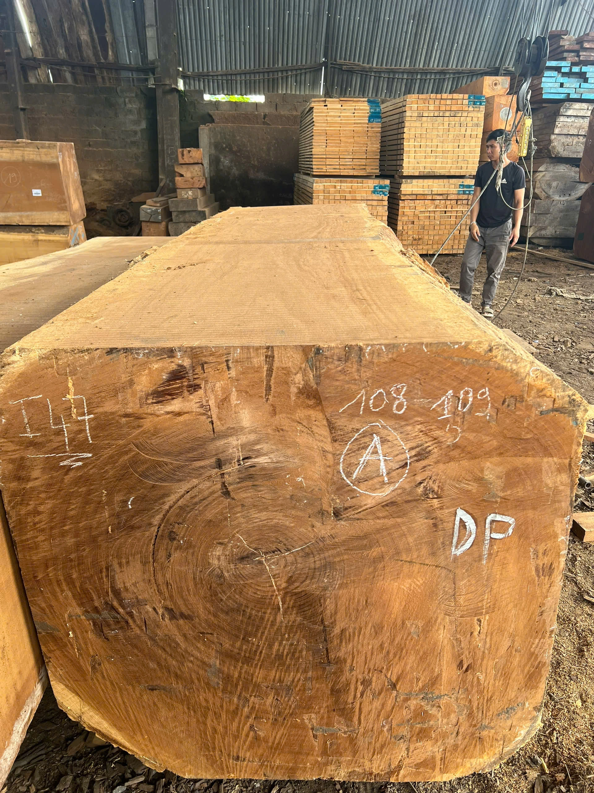 Gỗ dâu 108-109