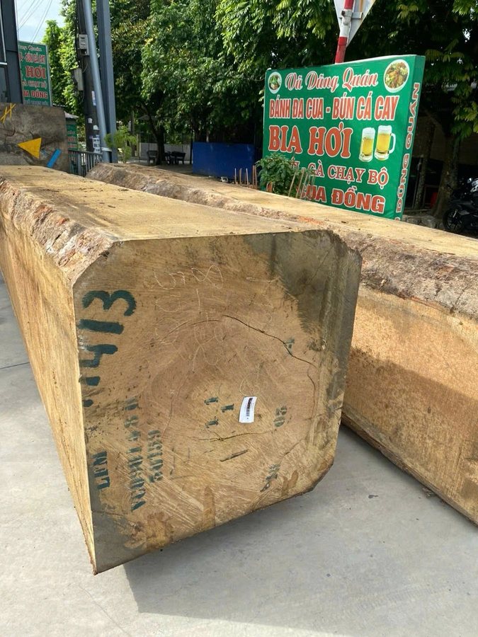 Gỗ dổi 81-500