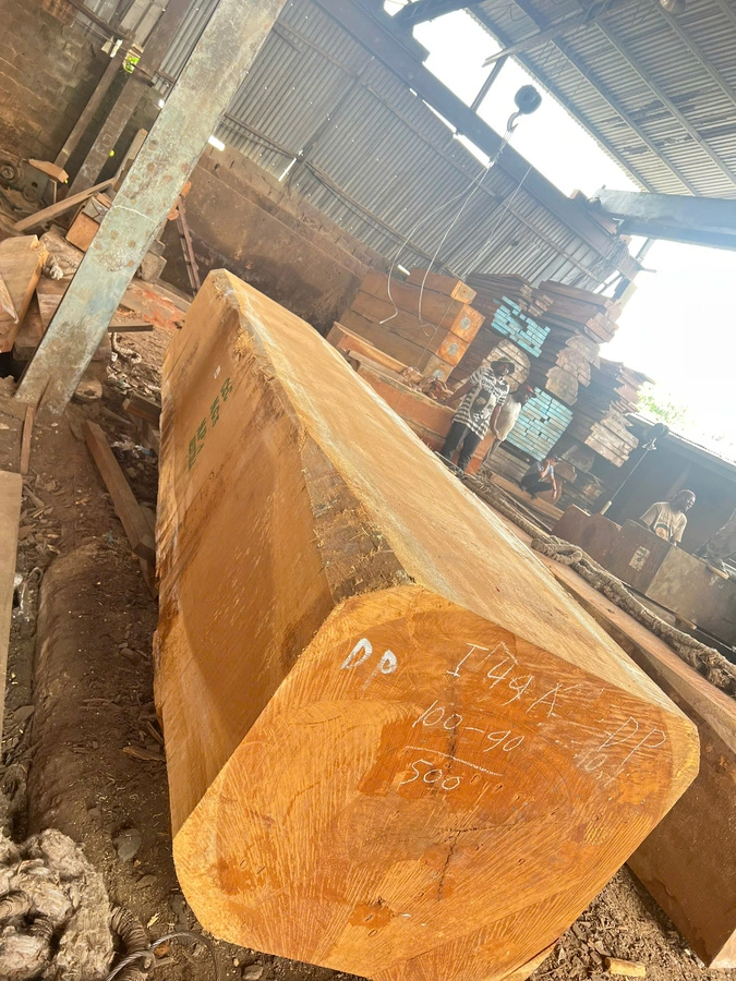 Gỗ dâu I49 100-90